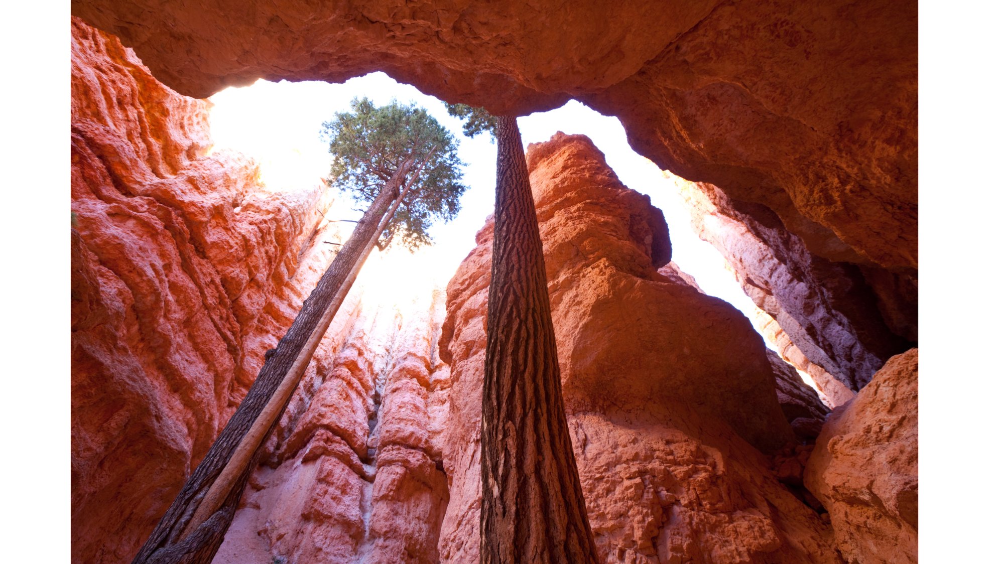 Hiking in Bryce Canyon